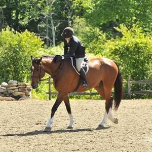 Meet your Posher, Caroline